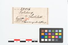 Etikett zu Bronzetülle (NHMW-PRAE-025836)